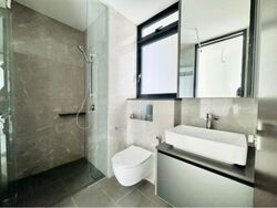 Irwell Hill Residences (D9), Apartment #480007201